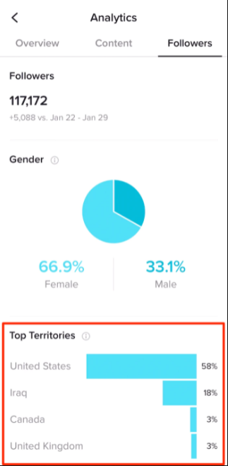 tiktok analytics distribution
