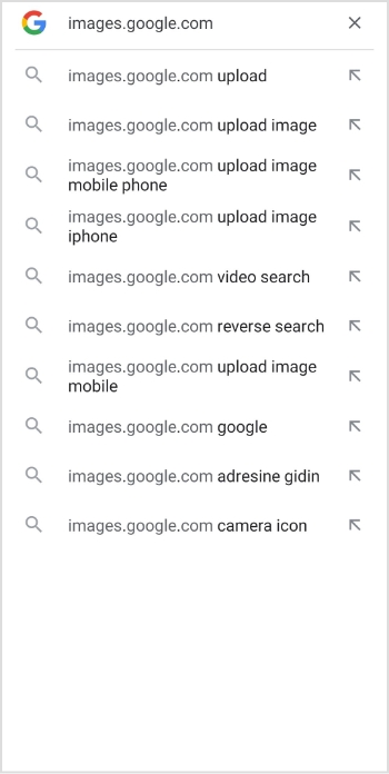 search bar