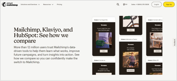 brand-identity