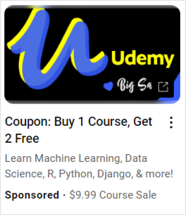 Udemy-Retargeting Example
